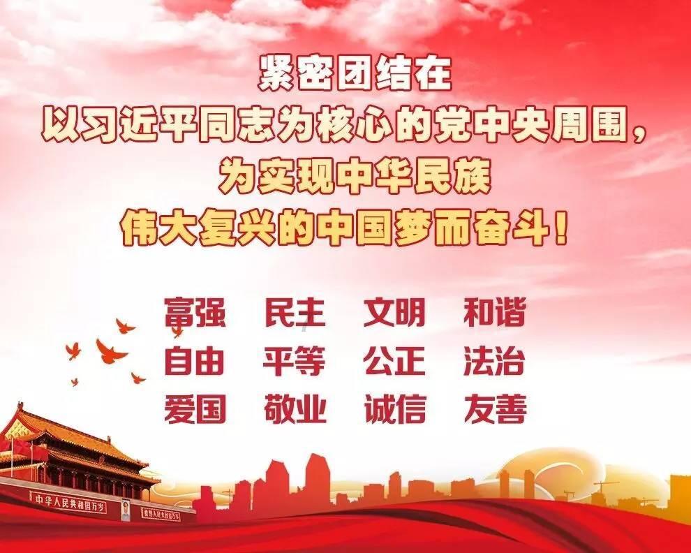 雨后盛放